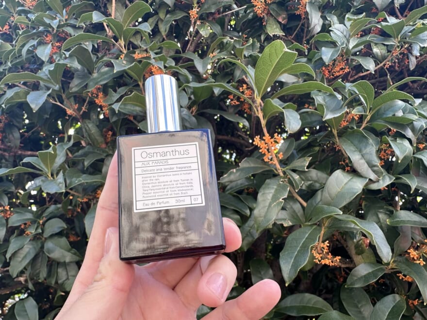 AUX PARADIS（オウパラディ）の香水とキンモクセイの花