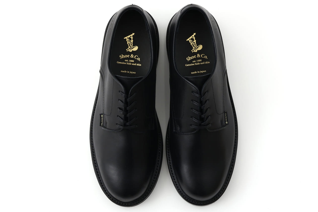 リーガル シュー&カンパニー 黒い　ゴアテックスプレーントゥの革靴