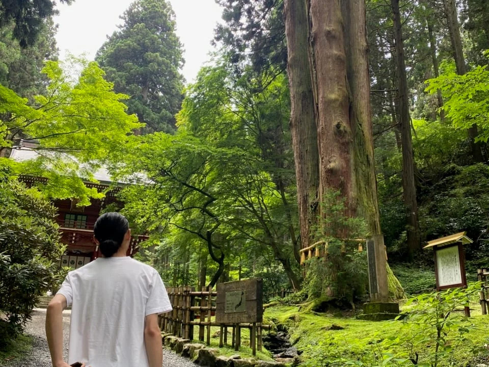 常陸国最古の霊山「御岩山」の三本杉。見事な自然に圧倒されました[安西一真ブログ]