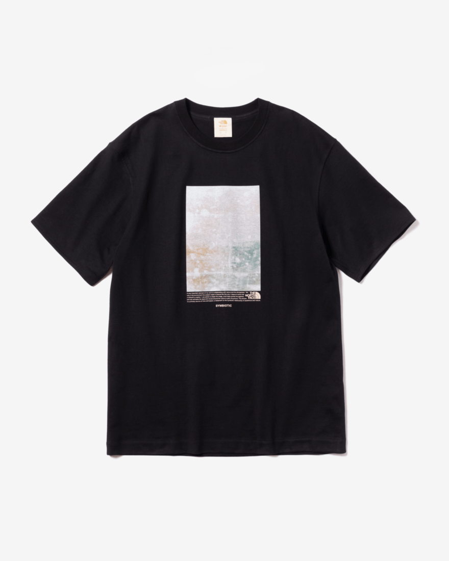 The North Face ザ ノースフェイス Sam Falls (サム・フォールズ)　Tシャツ　ブラック　背面