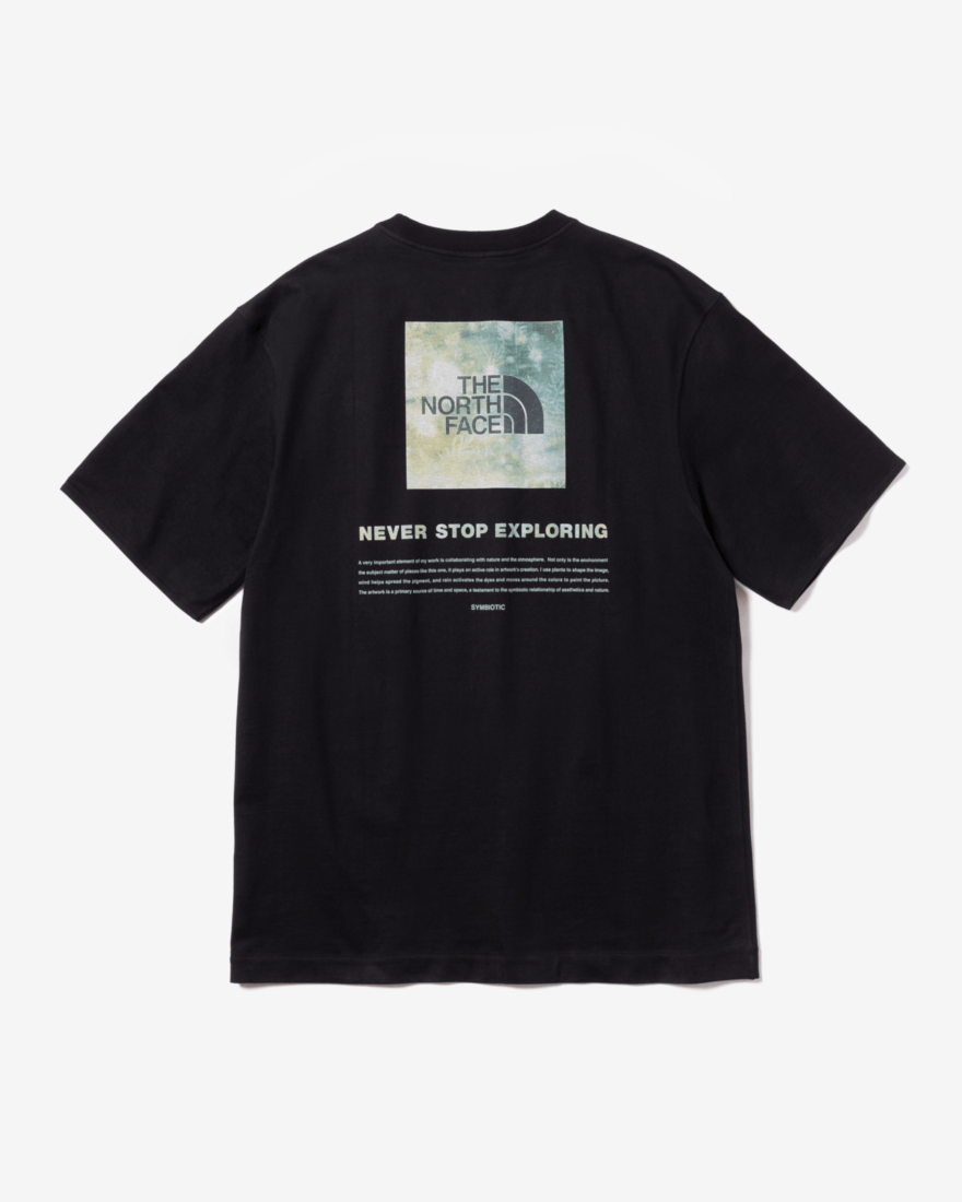 The North Face ザ ノースフェイス Sam Falls (サム・フォールズ) Tシャツ　ブラック　