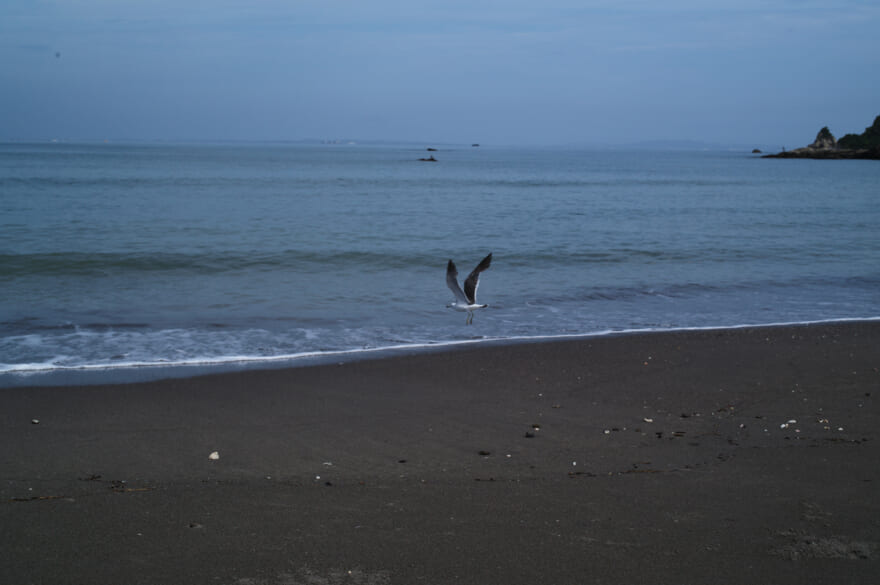 中島裕翔撮影　Title: 逃げられた…