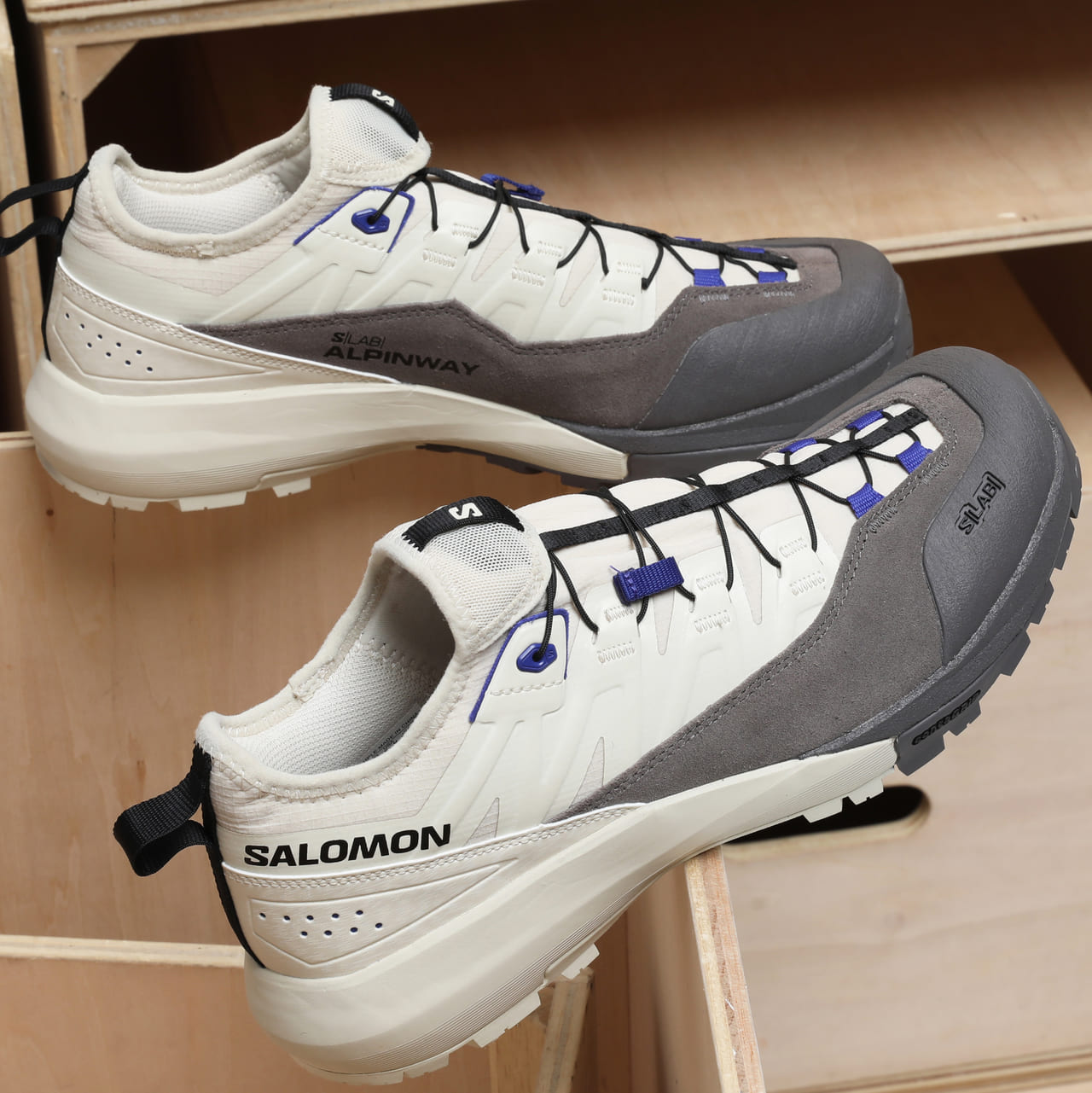 SALOMON「ALPINWAY ADVANCED」