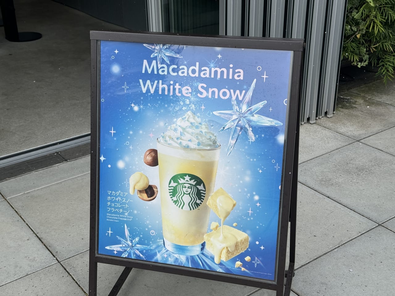 「スターバックス コーヒー 初雪店」に潜入