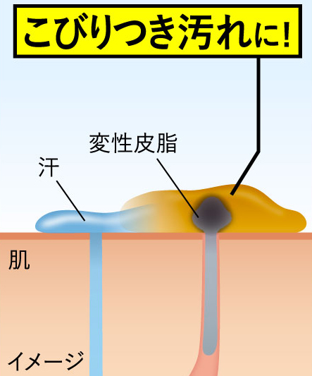 皮脂と汗が混ざった「こびりつき汚れ」の解説図